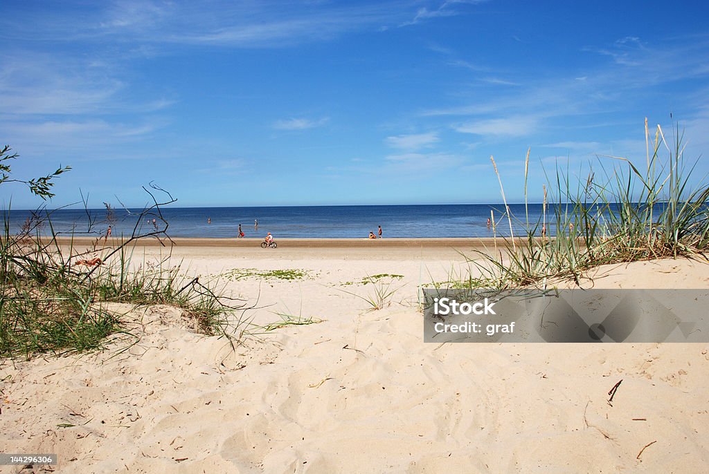 Dunes Dunes on a beach in JArmala. See my other pictures from this series in my lightbox LATVIA Active Lifestyle Stock Photo