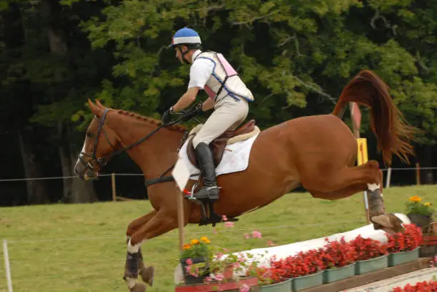 horse jumping a cross-country obstacle