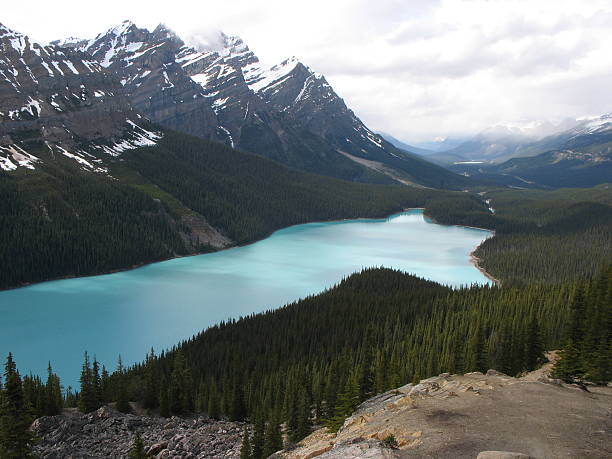 istock Peyto Lake, Banff N.P., Canada 144296584
