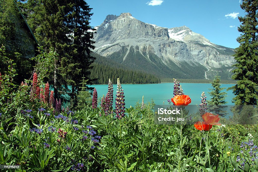 Emerald lago in estate - Foto stock royalty-free di Ambientazione esterna