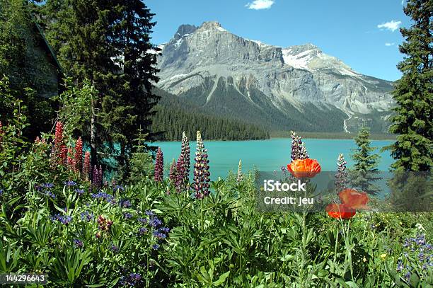 Emerald Lago In Estate - Fotografie stock e altre immagini di Ambientazione esterna - Ambientazione esterna, Bellezza, Canada
