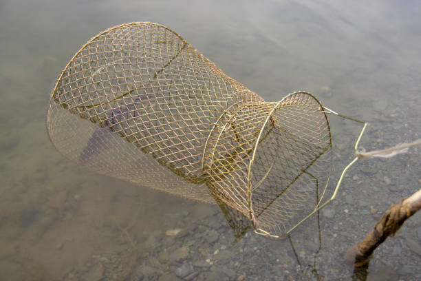 Ready for the big catch