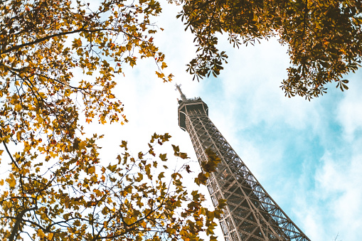 Paris in autumn.