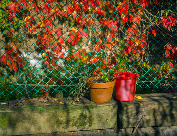 two outdoor plant pots displayed against the mesh fence