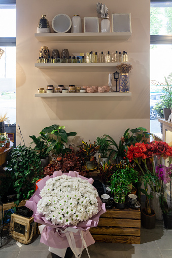 Small business. Flower shop interior. Floral design studio, decorations and arrangements and gifts. Flowers delivery service and sale of home plants in pots, wooden showcase, nobody.