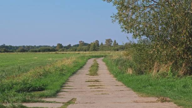 istock Country Road Through Green Fields Paved With Concrete Slabs 1442973471