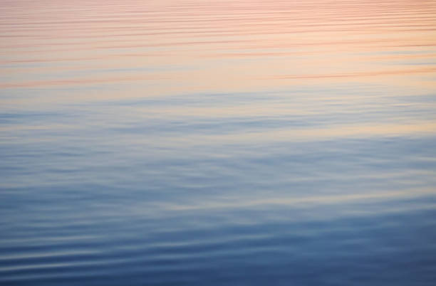 istock Colorful background, sunset reflected in calm water surface 1442974251