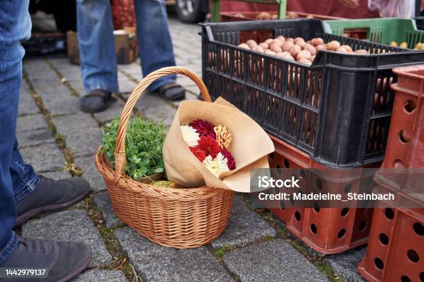 Basket With Fresh Pea Sprouts Flowers And Vegetables At The Farmers Market In Autumn Stock Photo - Download Image Now
