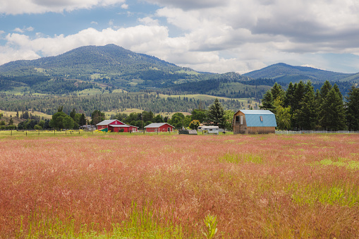 American Farmland in Idaho, USA