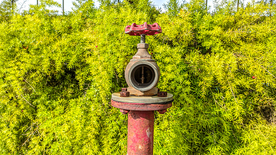 Red fire hydrant green River Wornitz in Harburg (Swabian), Donau-Ries district, Bavaria, Germany