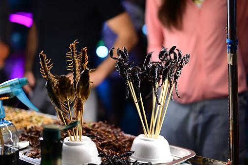 Fried insects at street food market