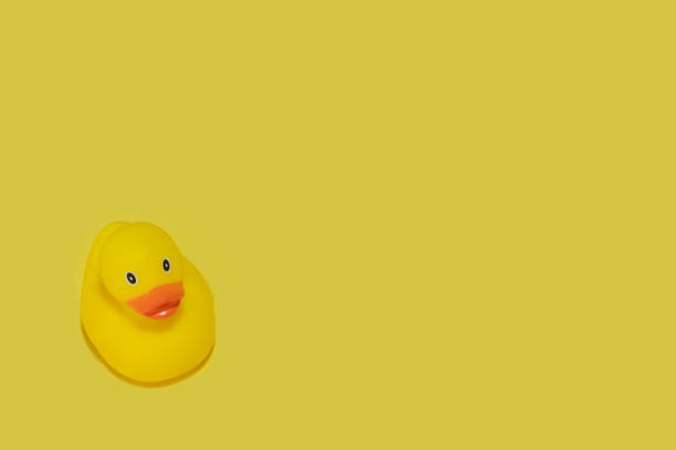 istock Yellow duck toy on a yellow background 1442982973