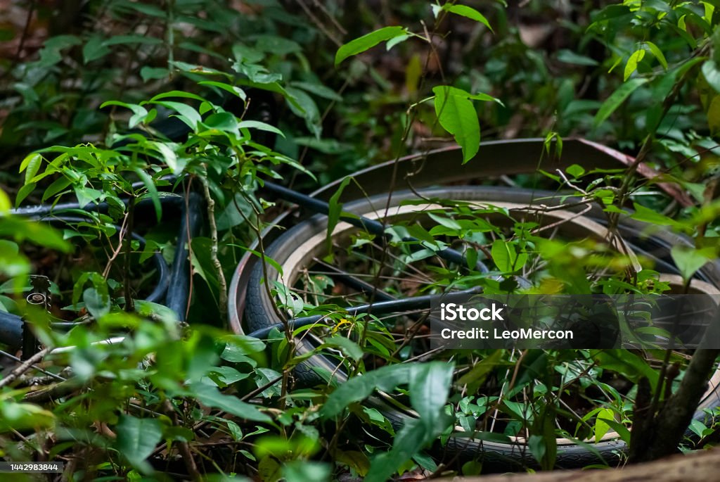 Bicycle (Landscape) | Bicycle Bicicleta (Paisagem) fotografado em Itaúnas, Espírito Santo -  Sudeste do Brasil. Bioma Mata Atlântica. Registro feito em 2009.



ENGLISH: Bicycle photographed in Itaunas, EspIrito Santo - Southeast of Brazil. Atlantic Forest Biome. Picture made in 2009. Alertness Stock Photo