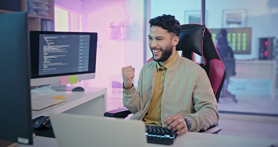 Computer Programmer And Celebration For Success Coding And Achievement ...