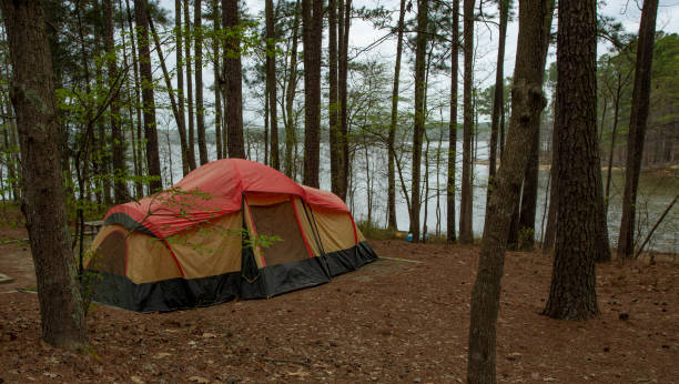 istock Tent camping at a North Carolina Lake 1442999702