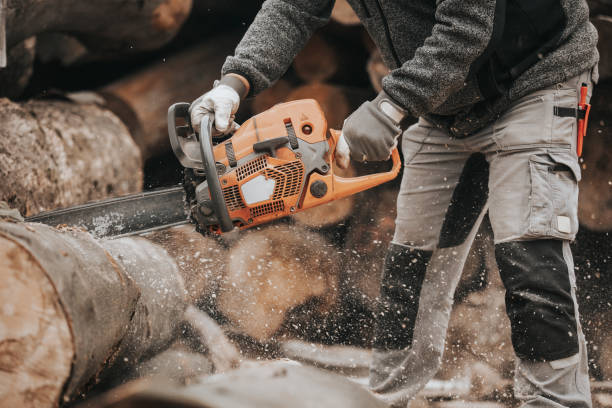 Young man cutting the huge felled wood by chainsaw, create winter wood stocks, industrial concept Young man cutting the huge felled wood by a chainsaw, create winter wood stocks, industrial concept chainsaw lumberjack lumber industry manual worker stock pictures, royalty-free photos & images