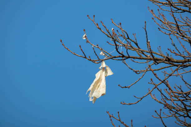 istock A plastic bag hung from the branches of a tree. Environmental pollution 1443002729