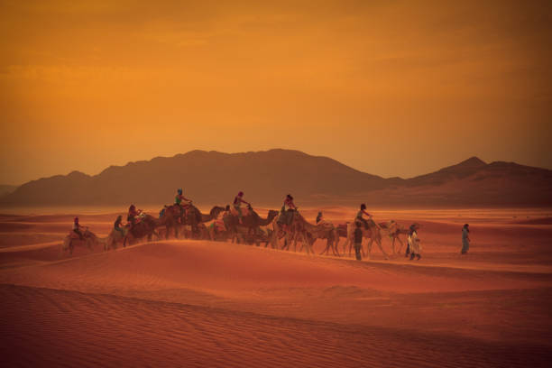 istock Camel Train with tourists in Sahara Desert 1443004454