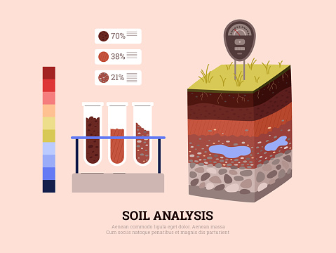 Soil analysis infographic showing section of fertile soil layers, flat vector illustration isolated on background. Laboratory of agricultural and agronomic research.