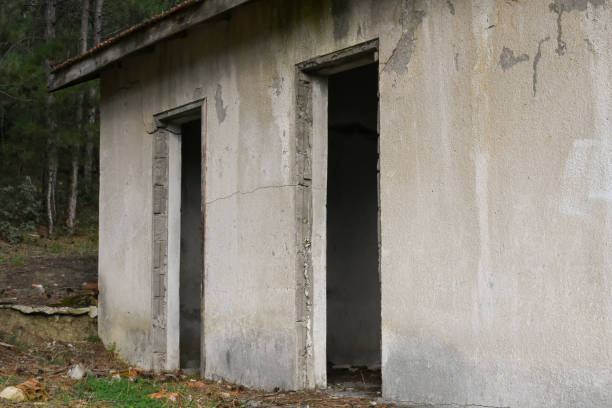 istock Old and abandoned house building in the forest 1443006967