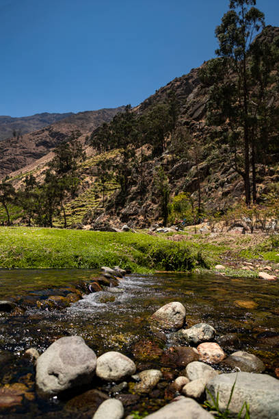 istock Landscape with green areas and river crossing 1443018324
