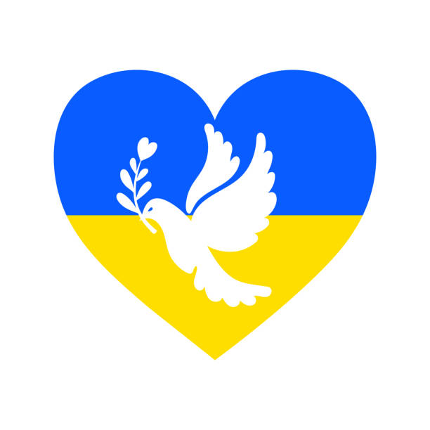 herzform in ukrainischen flagge blaugelben farben mit weißer taube darauf, friedenstaube mit olivenzweig. - friedenstaube stock-grafiken, -clipart, -cartoons und -symbole