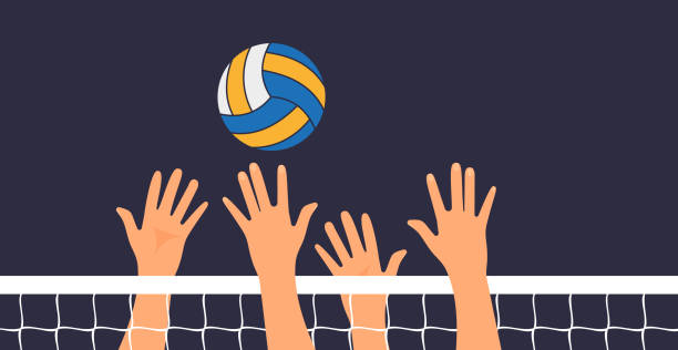 istock Volleyball game. People hit their hands on the volleyball ball. Vector illustration flat design. isolated on white background. Sports holidays, lifestyle. 1443027082