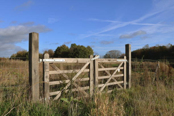 istock Wooden gate in a rural environment 1443027365