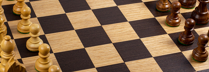 chess piece in board