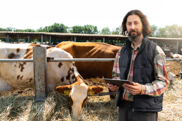 istock Farmer with a digital tablet in a cow farm 1443030492