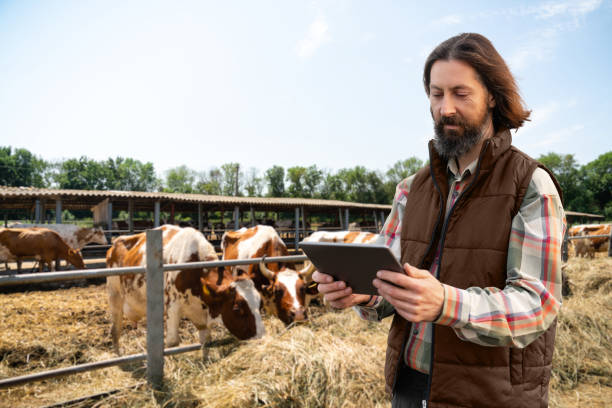 istock Farmer with a digital tablet in a cow farm 1443030514