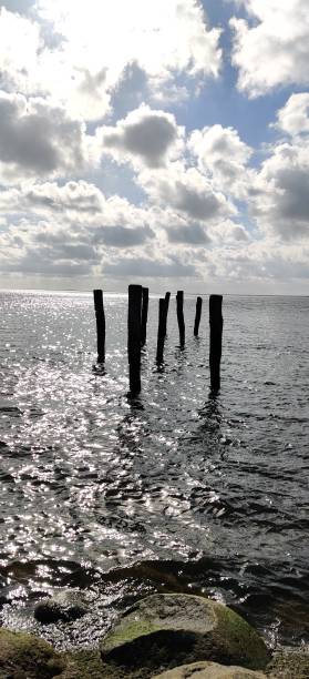 istock Standing in the sea 1443034322
