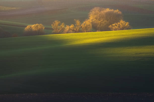 istock Layers of Light, South Moravia 1443037582