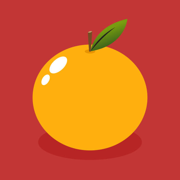 istock Mandarin orange on shadow flat design vector - illustration. Chinese New Year Mandarin Orange. 1443044015