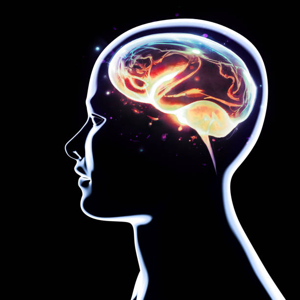 istock Neurology, philosophy: connections, the development of thought and reflection, the infinite possibilities of the brain and mind. Creativity 1443044366