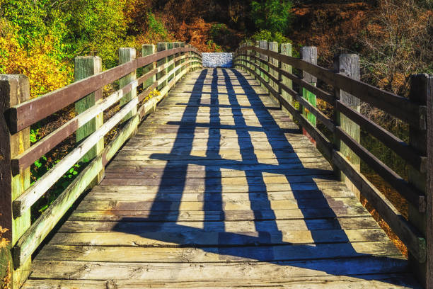 Historical Whipple Bridge, Vischer Ferry Nature Preserve Ecosystem, Rexford, NY. The area is home to Great Blue Heron, loons,  ducks (duck hunting) hawks, osprey, opossum, woodchucks, weasels, red foxes, muskrat, turtles, spotted salamander, and bullfrogs. It contains a section of the historical 1825 Erie Canal and towpath.