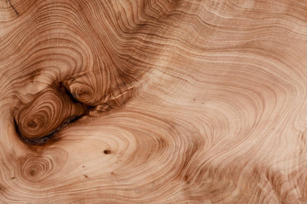 istock Abstract wood background - old boards with paint background annuals rings. 1443045505