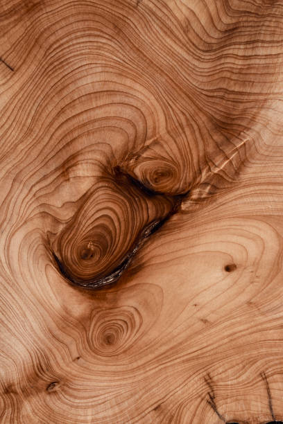 istock Abstract wood background - old boards with paint background annuals rings. 1443045506