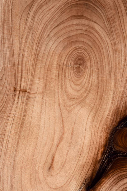 istock Abstract wood background - old boards with paint background annuals rings. 1443045532