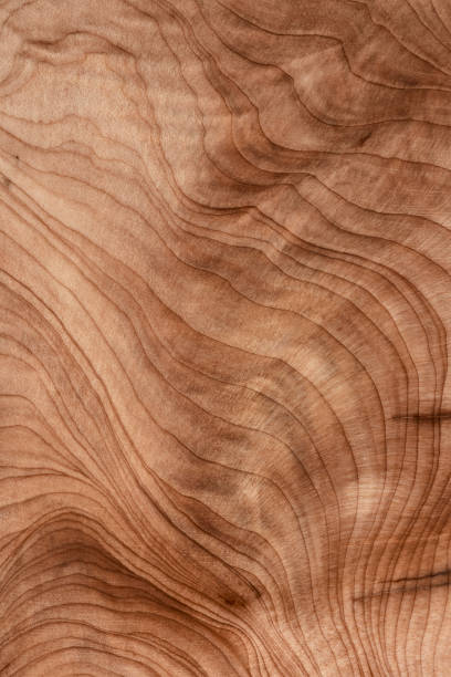istock Abstract wood background - old boards with paint background annuals rings. 1443045544