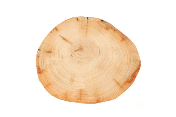 istock Wood plank to use as background and texture. 1443045752