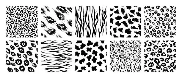 Vector illustration of Monochrome animal prints