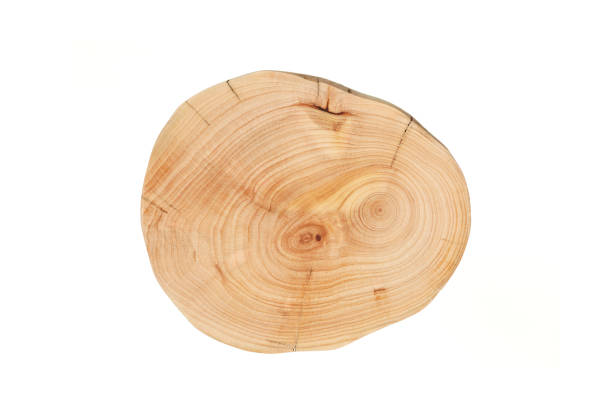 istock Wood plank to use as background and texture. 1443045770