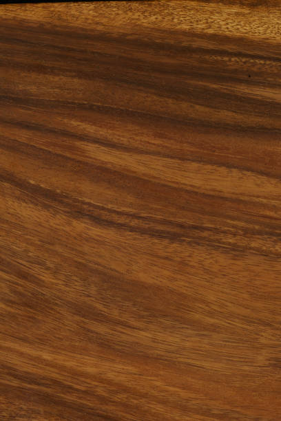 istock A fragment of a hardwood. 1443045928