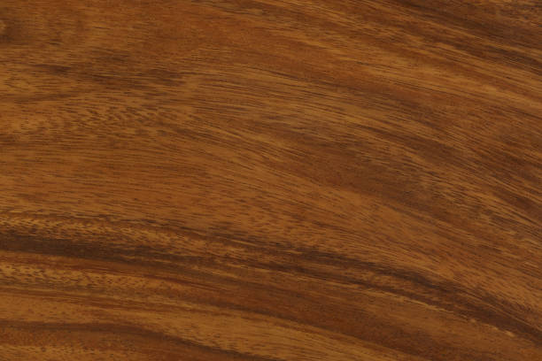 istock A fragment of a hardwood. 1443045933