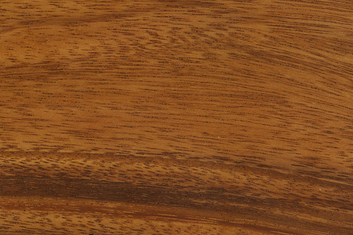 Texture of wood use as design background. Brown color.