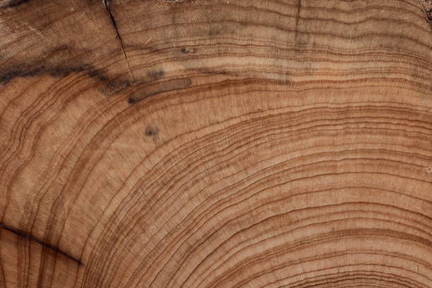 Weathered and aged wooden texture background.