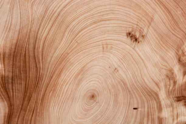 istock Weathered hardwood board, copy space as design background. 1443047585