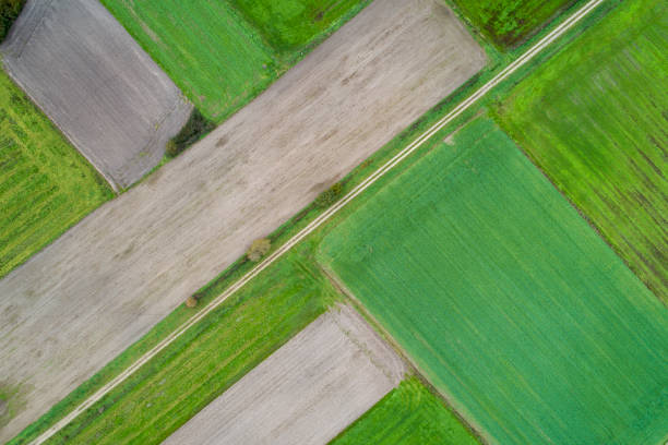 istock aerial view of some autumn crop fields 1443048988
