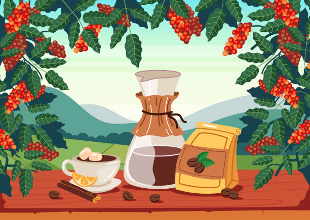 ilustrações de stock, clip art, desenhos animados e ícones de coffee plant plantation products tree abstract design element concept illustration - café colheita